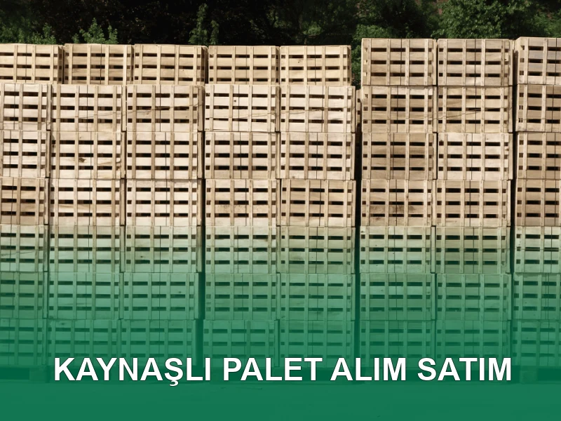 Kaynaşlı Palet Galeri 3