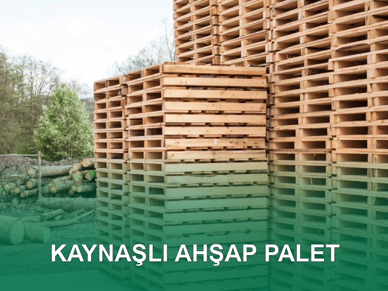 Kaynaşlı Palet Galeri 4