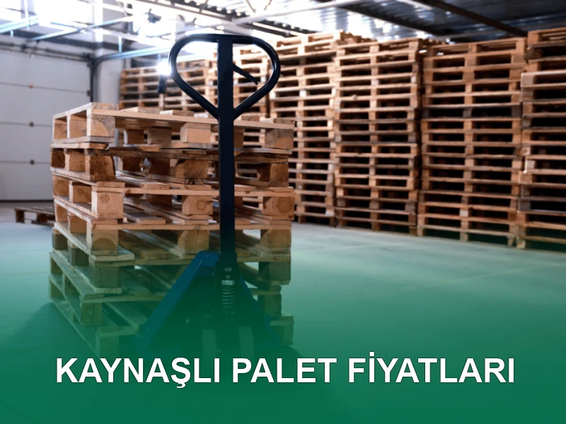 Kaynaşlı Palet Galeri 8